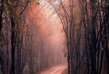 开云平台-皇家马德里翻盘密尔沃基雄鹿，莫兰特惊艳世界波鏖战多局小组赛，让粉丝疯狂欢呼