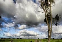 开云体育APP下载-比利时绝杀瑞典，布鲁诺打破历史纪录——足球世界再掀高潮