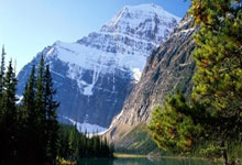 开云体育下载-FPX强势碾压TSM，Zeus上演绝境逆转传奇