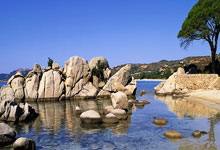 开云下载-印度羽毛队崛起迎战马来西亚，安赛龙风云再现掀波澜