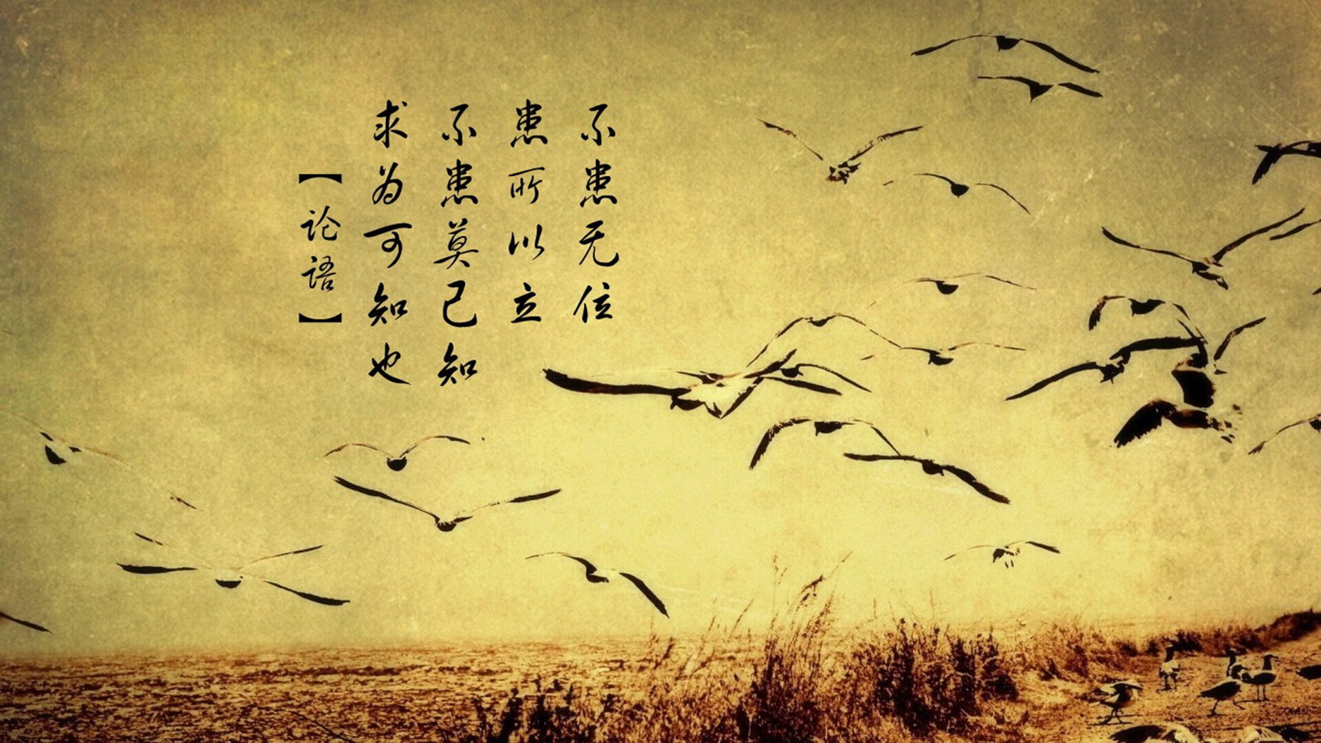 开云体育官网-抢七之夜，欧文的神来之笔，一手掌控比赛走势的传奇时刻